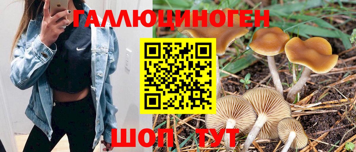 Санкт-Петербург  Галлюциногенные грибы мицелий  Вход с VPN 