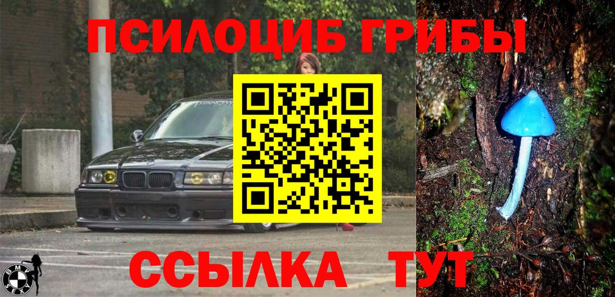 Галлюциногенные грибы Magic Shrooms Санкт-Петербург