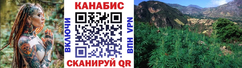 Каннабис OG Kush  Санкт-Петербург 